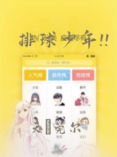 排球少年!!：结局+番外