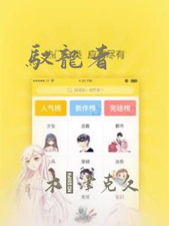 驭龙者
