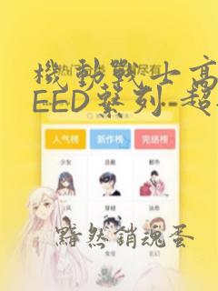 机动战士高达SEED系列 超全集：结局+番外