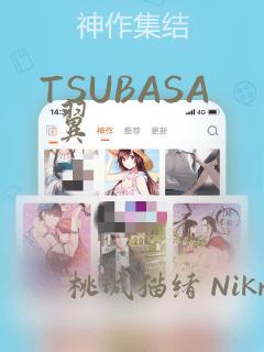 TSUBASA 翼：结局+番外