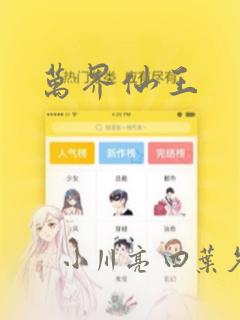 万界仙王：结局+番外