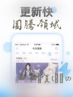 图腾领域