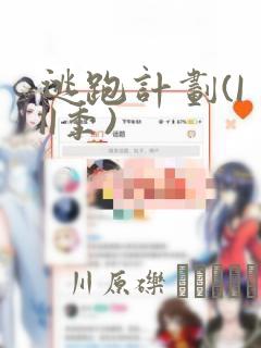 逃跑计划(I II季)