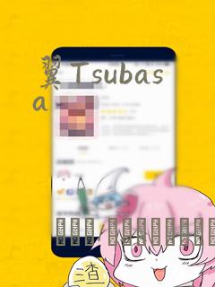 翼Tsubasa：结局+番外