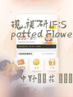 回复术术士重启人生