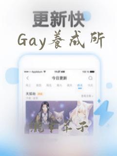 Gay养成所：结局+番外