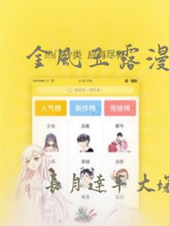 金风玉露漫画
