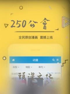 250公会