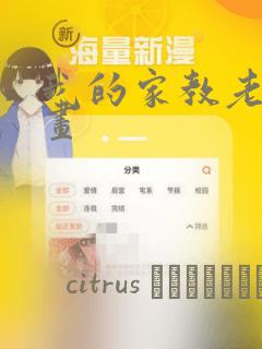高字的笔画顺序