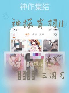 神探肖羽II