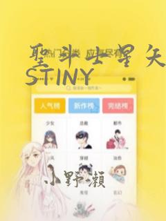 圣斗士星矢DESTINY