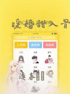 暖婚甜入骨漫画