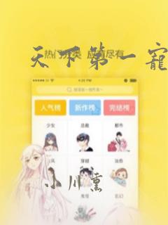 天下第一宠漫画：结局+番外