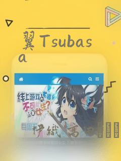 翼Tsubasa：结局+番外