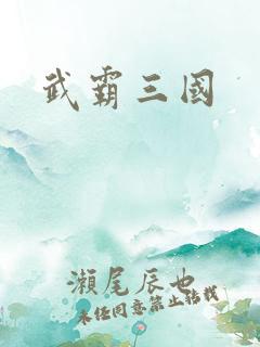 武霸三国