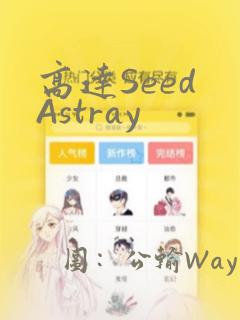 高达Seed Astray：结局+番外
