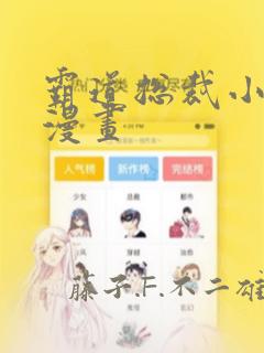 霸道总裁小娇妻漫画