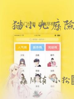 猫小九历险记：结局+番外