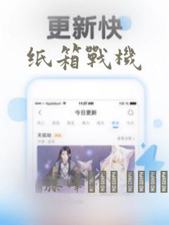 纸箱战机