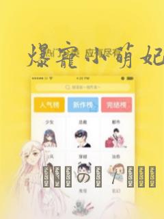 爆宠小萌妃漫画