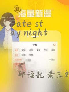 Fate stay night