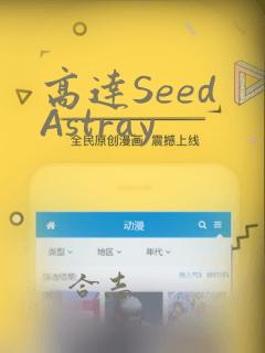 高达Seed Astray：结局+番外