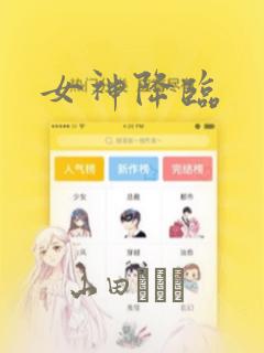 python init.py免费阅读