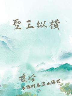 圣王纵横