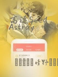 高达Seed Astray：结局+番外