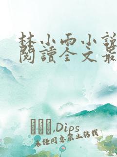 林小雨小说免费阅读全文最新章节