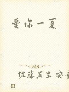 爱你一夏
