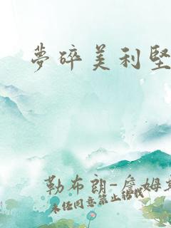 梦碎美利坚