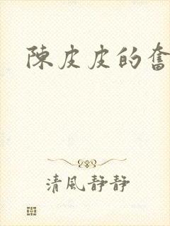 陈皮皮的奋斗