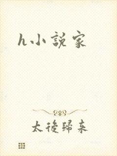 h小说家