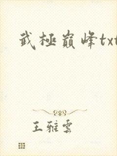 武极巅峰txt