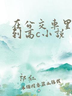 在公交车里c弄到高c小说