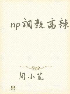 np调教高辣文
