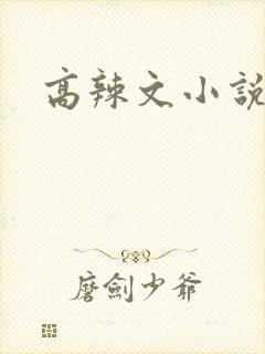 高辣文小说np