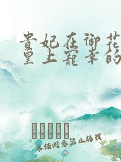 贵妃在御花园被皇上宠幸的小说叫什