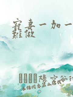 宠妻一加一老婆难做