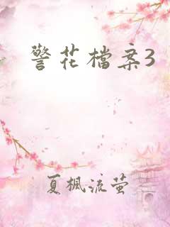 警花档案3