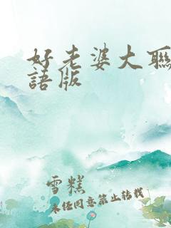 好老婆大联盟国语版