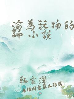 沦为玩物的女教师 小说