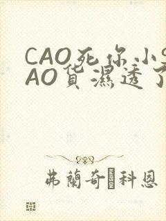 CAO死你小SAO货湿透了学长