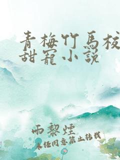 青梅竹马校霸的甜宠小说