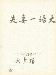 夫妻一场大结局