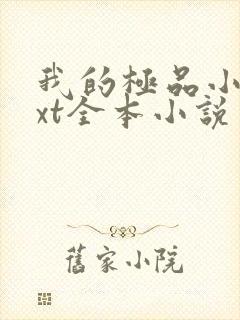 我的极品小姨txt全本小说