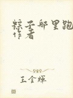 粽子哪里跑小说作者