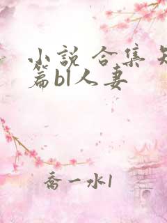 小说 合集 短篇bl人妻