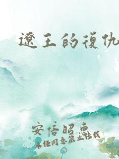 辽王的复仇小妾